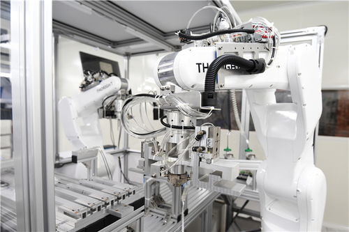 小膠囊沿西部陸海新通道遠航，數字技術賦能重慶企業造福全球